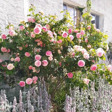 Holiday home Maison De La Vaux *